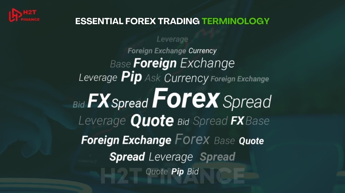 Before going further, learn the basic terms of forex they're essential for reading charts, placing orders, and building strategies.
