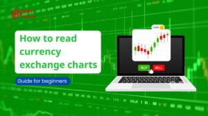 How to read currency exchange charts: Guide for beginners