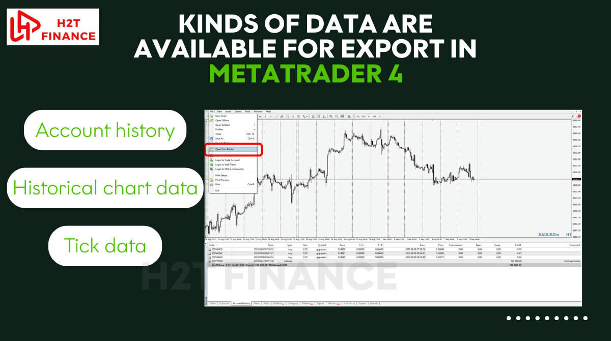 kinds of data are available for export in MetaTrader 4