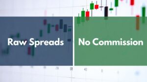 Raw spreads vs no commission: Which forex account is better?